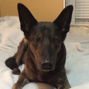 Meet your Posher, Aaron